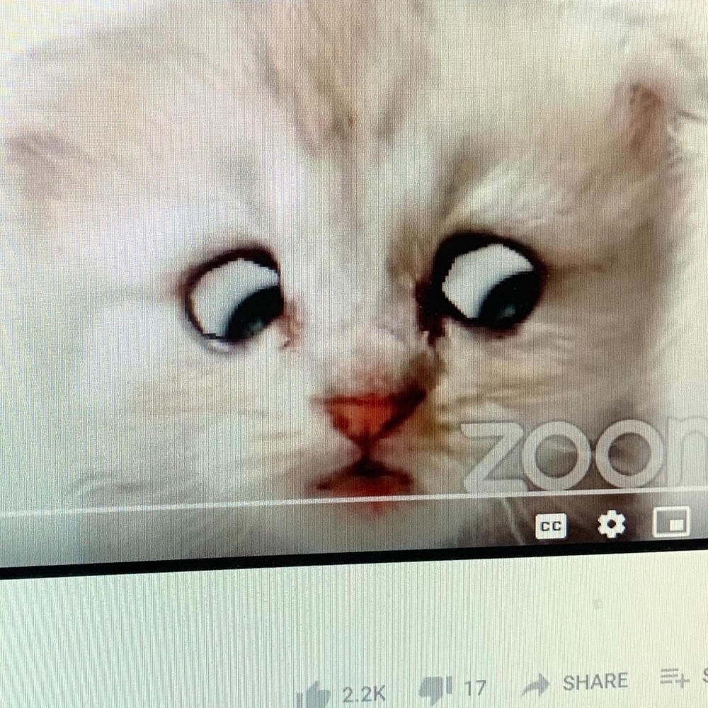 Meet your Posher, Jeena